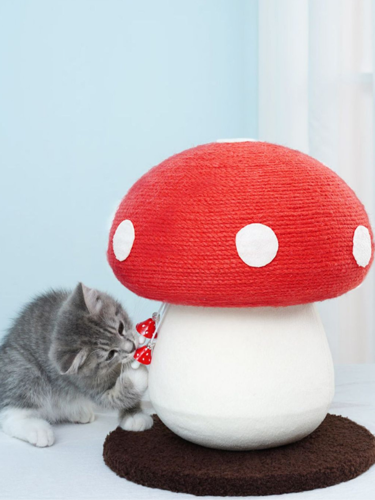 Mushroom Scratcher