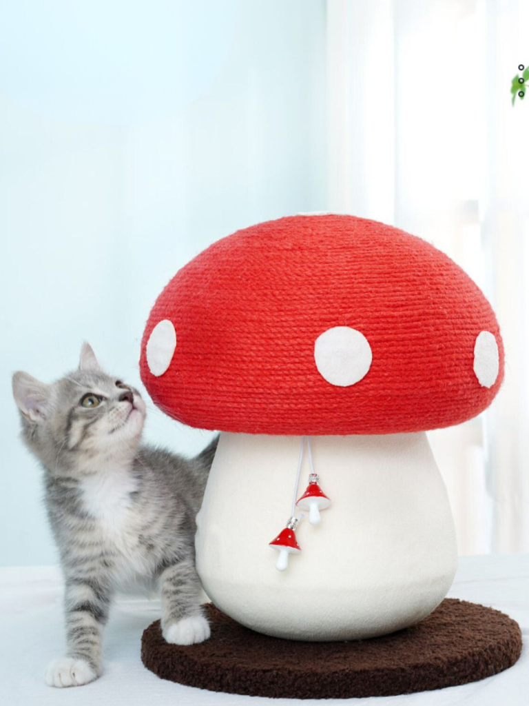 Mushroom Scratcher
