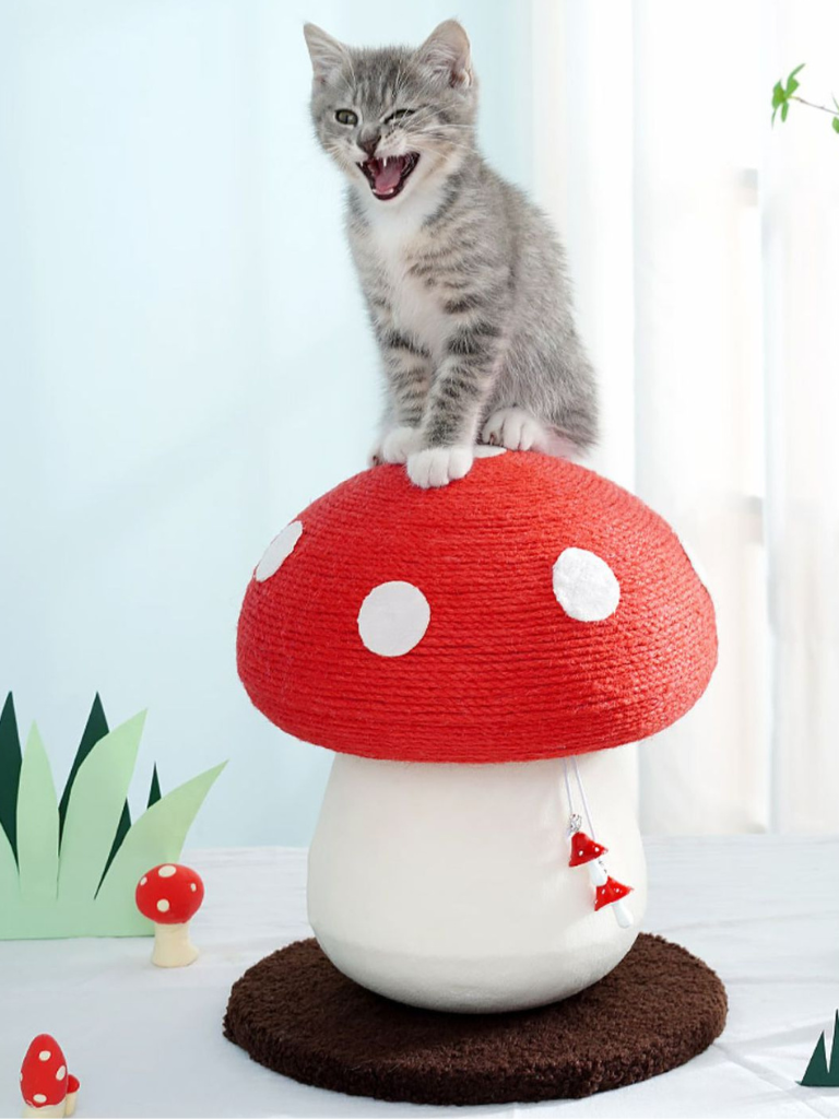 Mushroom Scratcher
