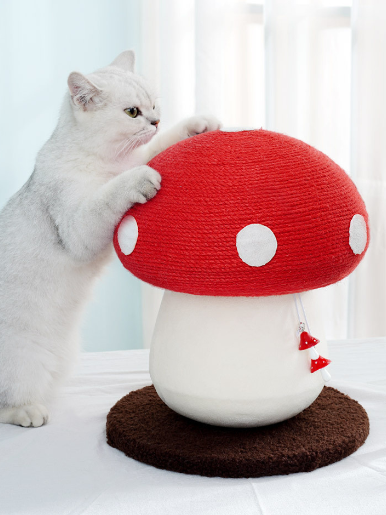 Mushroom Scratcher