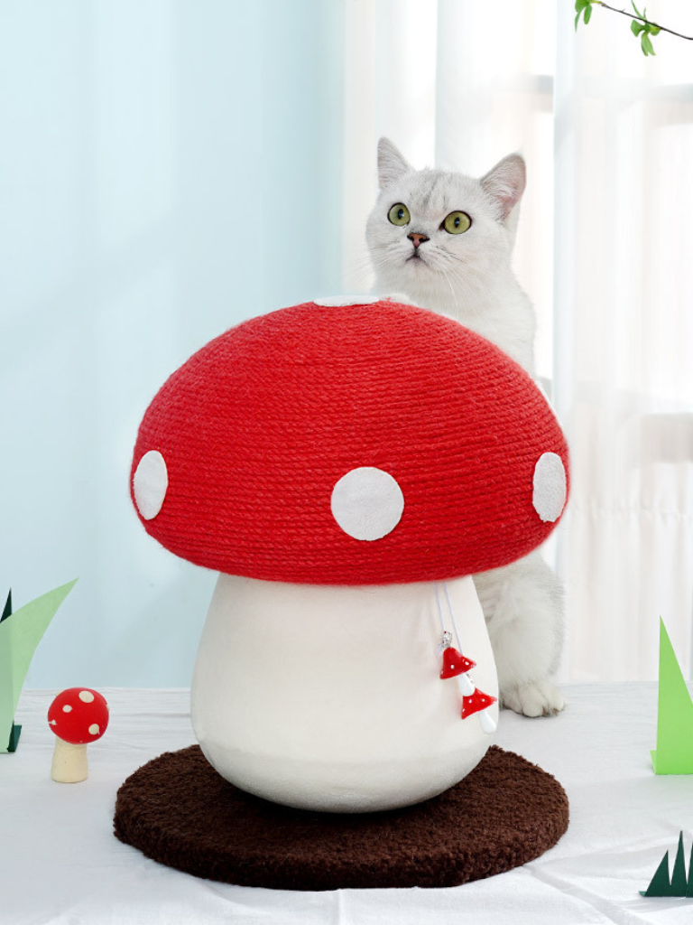 Mushroom Scratcher