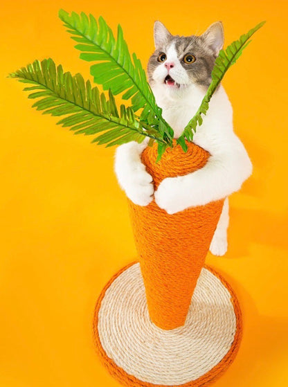 Carrot Nail Sharpener – Fun Design for Happy Cats