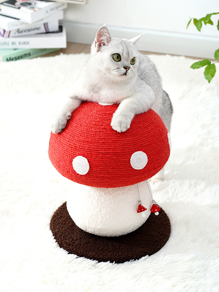 Mushroom Scratcher