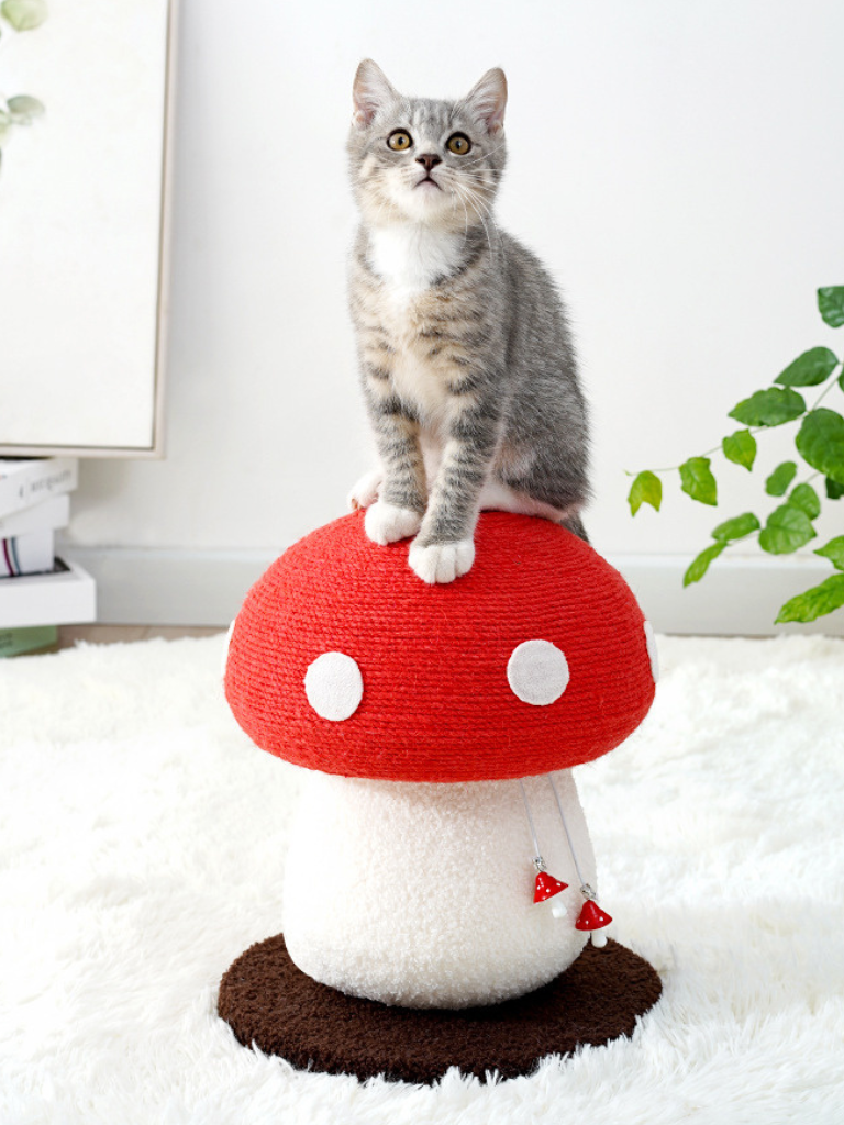 Mushroom Scratcher