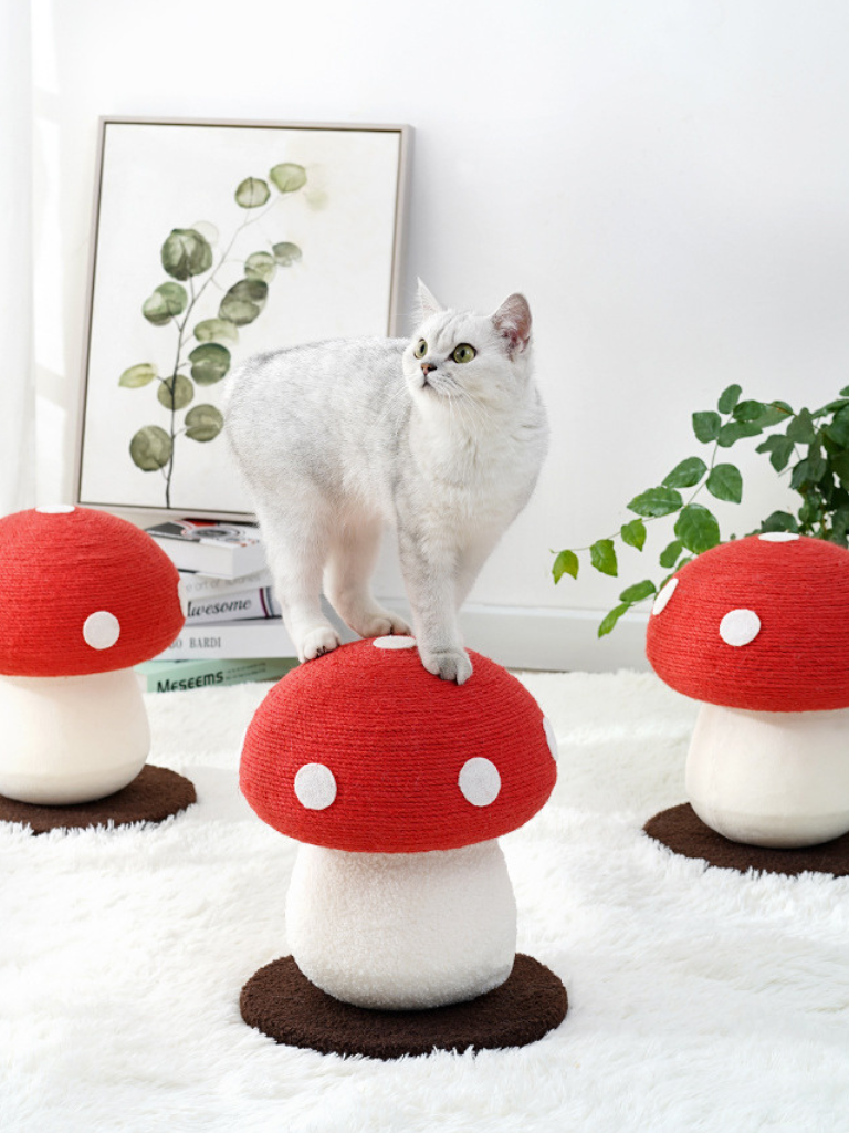 Mushroom Scratcher