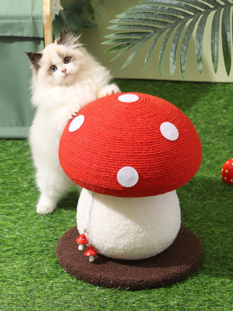Mushroom Scratcher