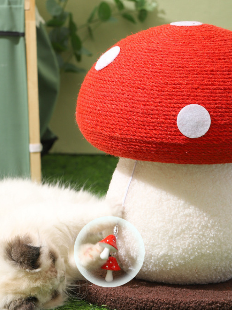 Mushroom Scratcher