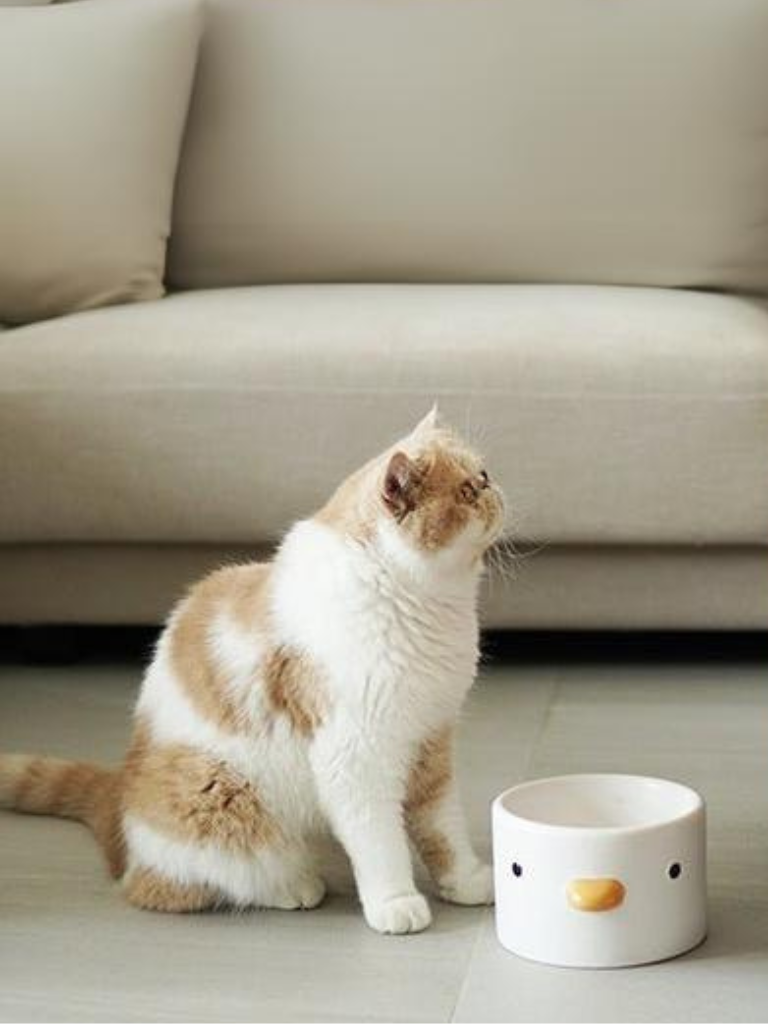 Duck-Shaped Food &amp; Water Bowl – Cute, Practical, and Stylish