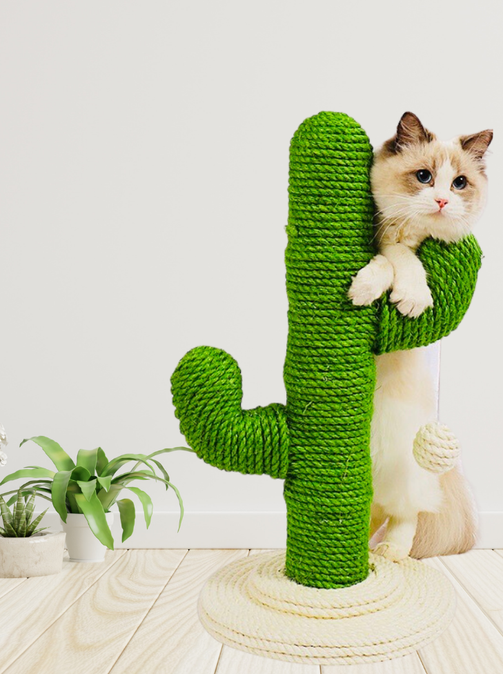 Cactus Nail Sharpener – Fun Cat Scratcher with Swaying Toy