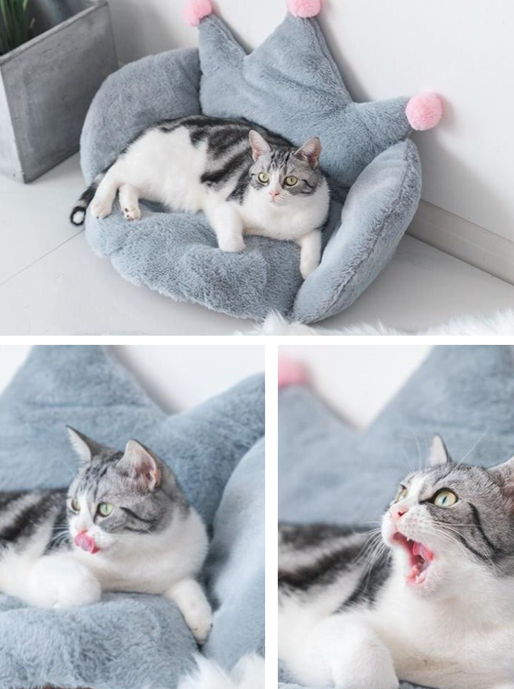 King Cat Bed – Royal Comfort for Your Feline Majesty
