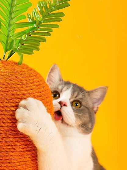 Carrot Nail Sharpener – Fun Design for Happy Cats