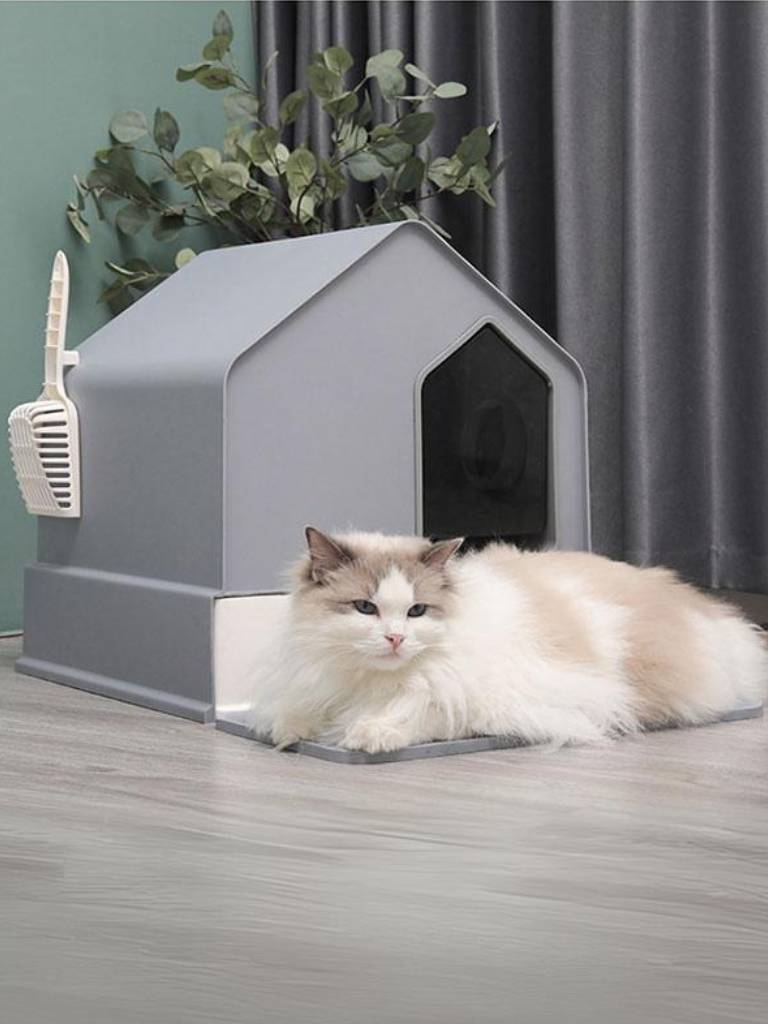 House Type Cat Toilet – Stylish, Spacious &amp; Easy to Clean