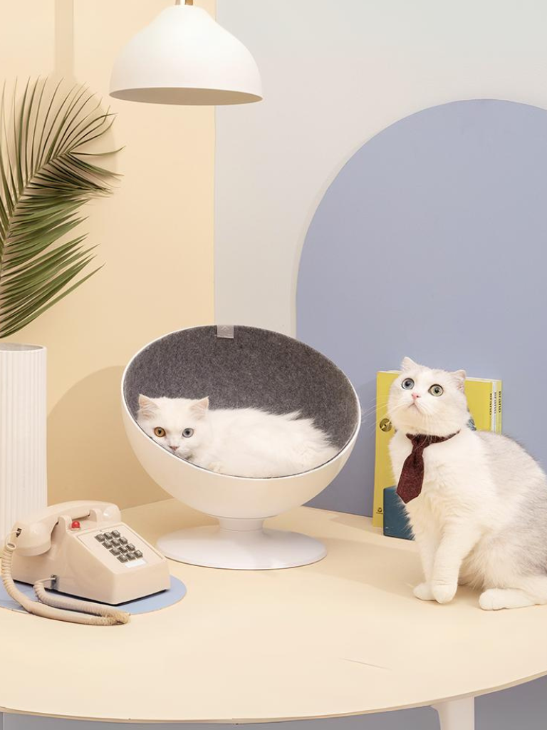 Celebrity style rotating cat bed