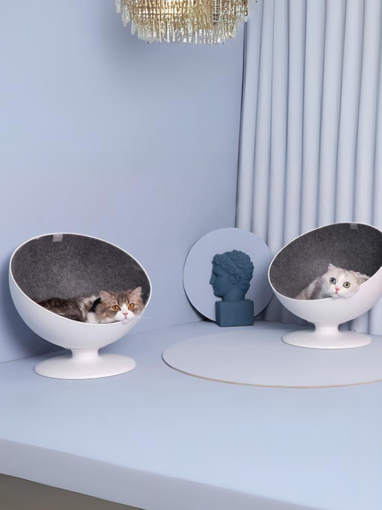 Celebrity style rotating cat bed