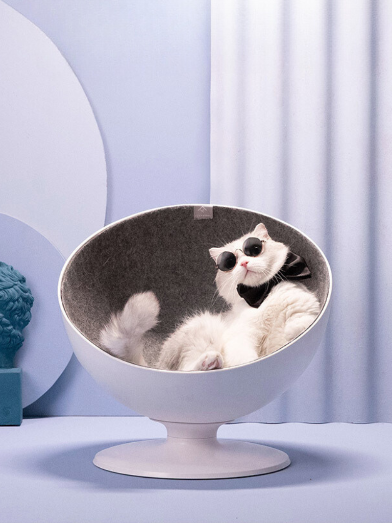 Celebrity style rotating cat bed
