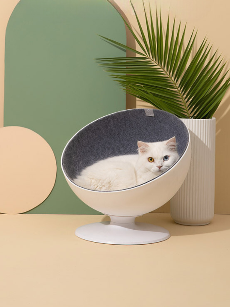 Celebrity style rotating cat bed