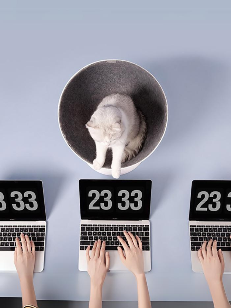 Celebrity style rotating cat bed