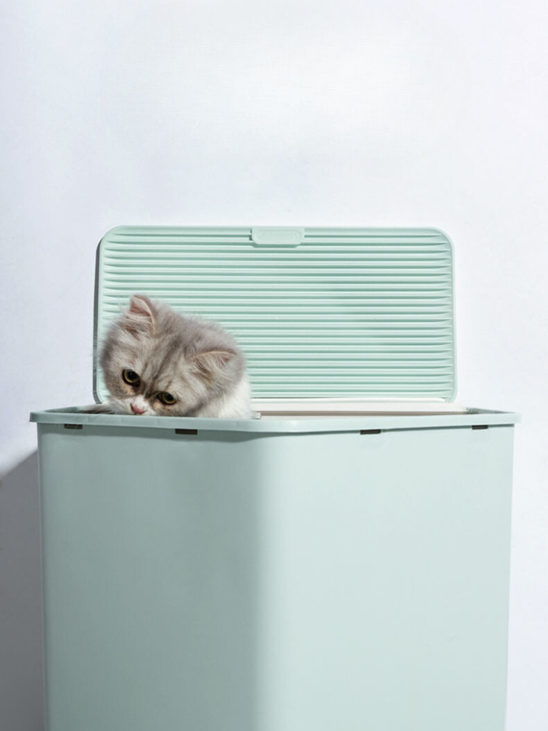 House Type Cat Toilet – Stylish, Spacious &amp; Easy to Clean