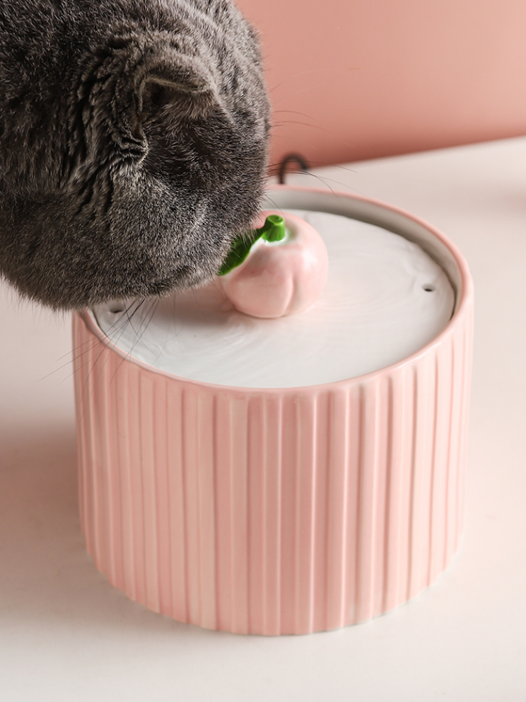 PeachyPaws | Peach Water Dispenser