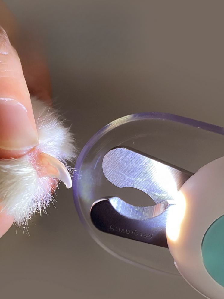 TwinkleTrim | Glowing pet nail clipper