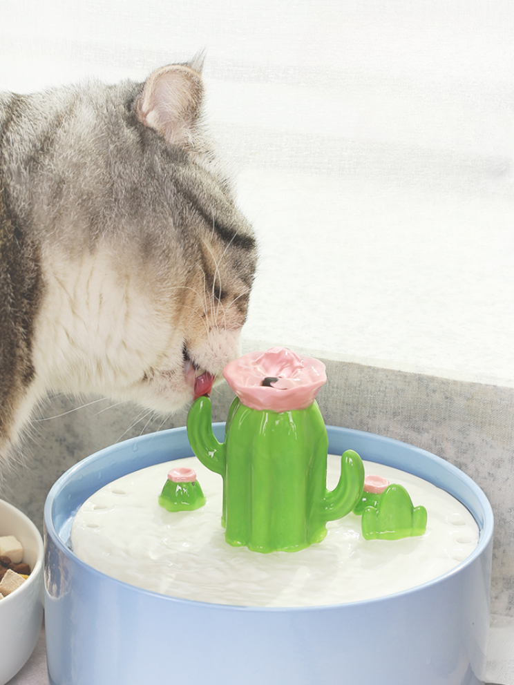 CactoFlow | Cactus Water Dispenser