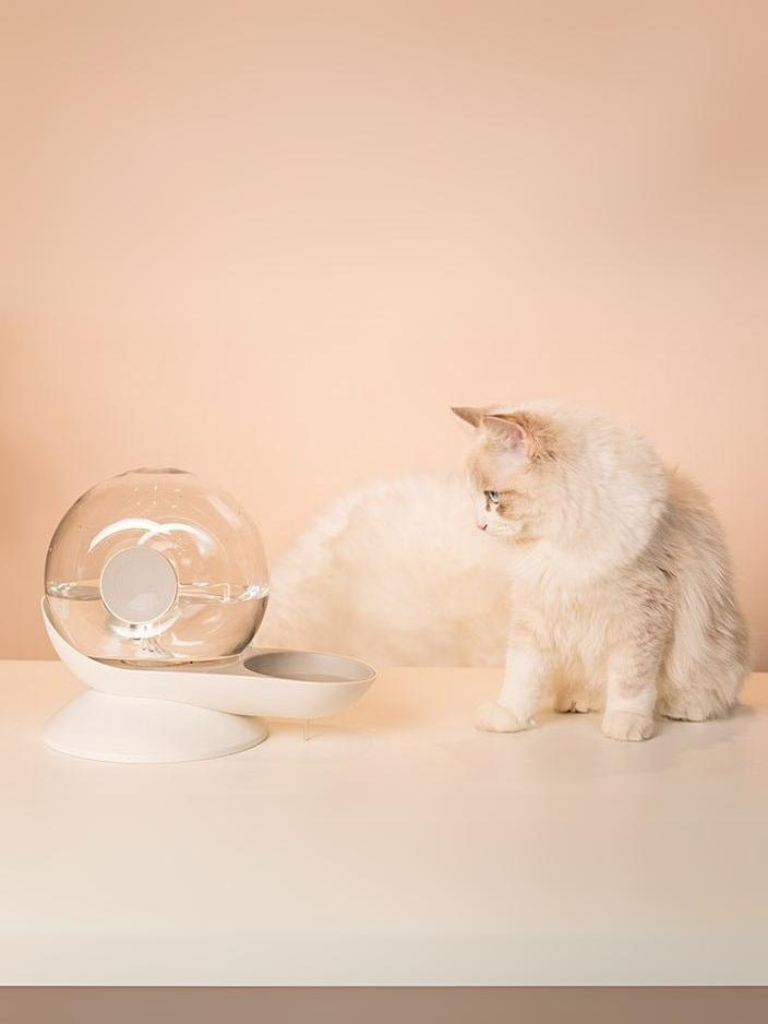 Roundy Cat water dispenser