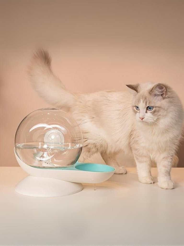 Roundy Cat water dispenser