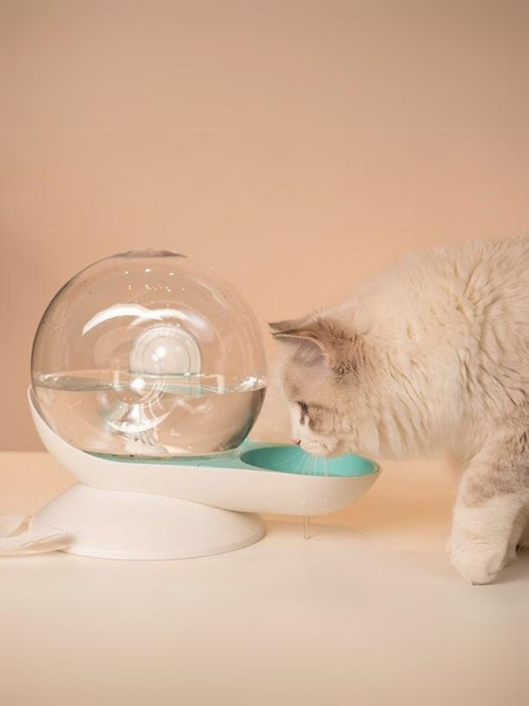 Roundy Cat water dispenser