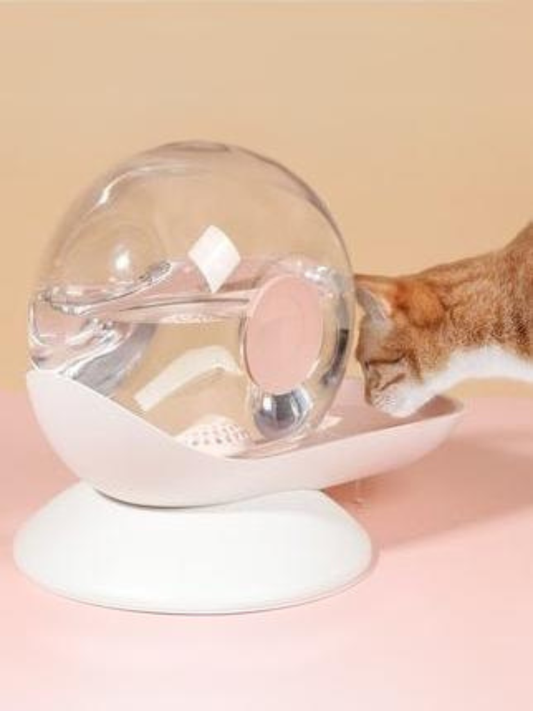 Roundy Cat water dispenser