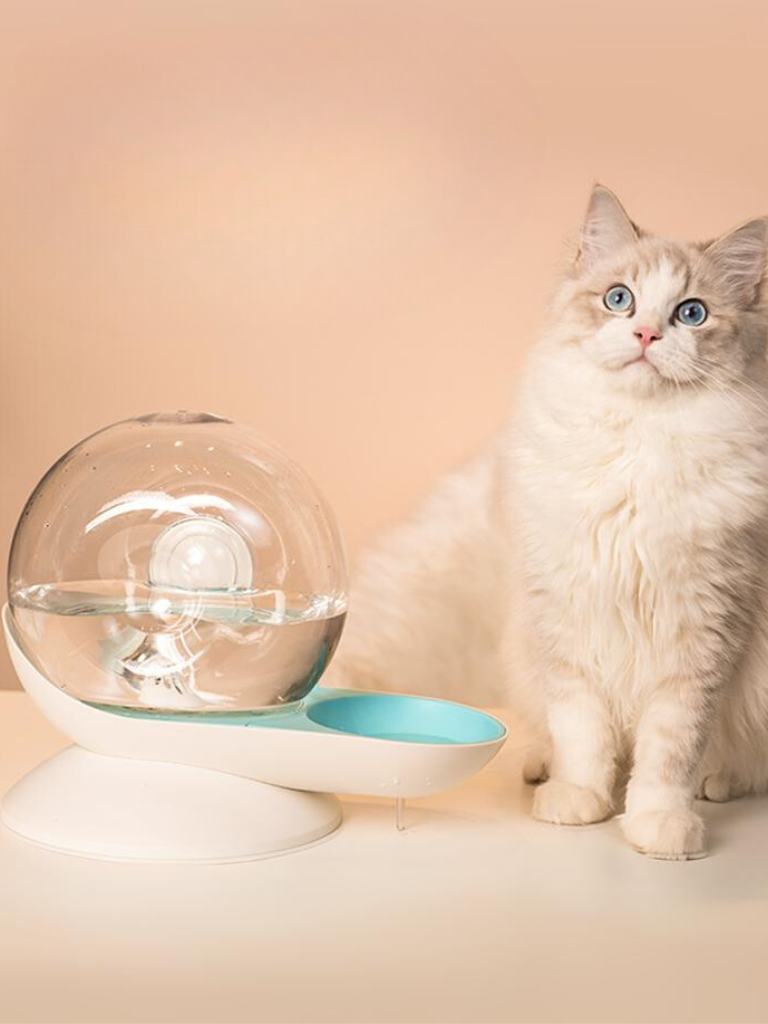 Roundy Cat water dispenser