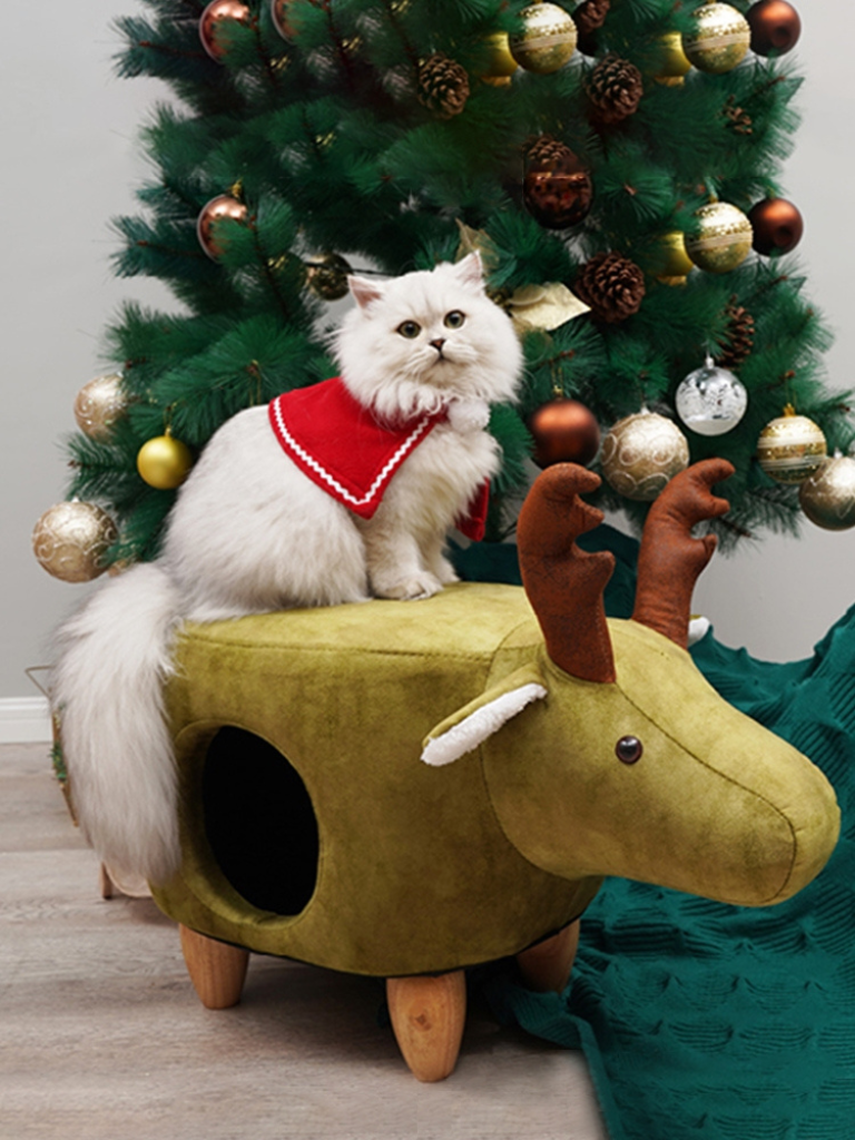 Animal type cat house