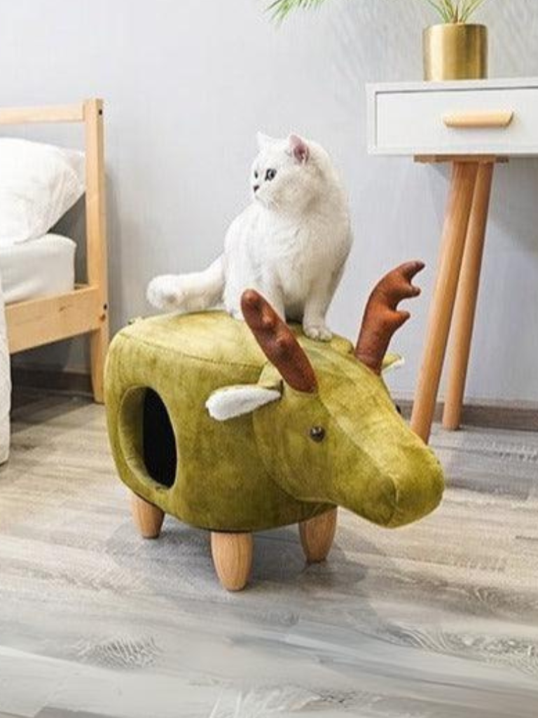 Animal type cat house