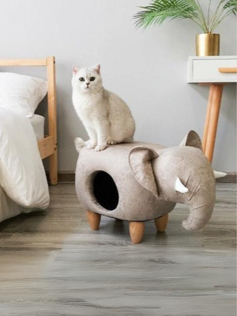 Animal type cat house