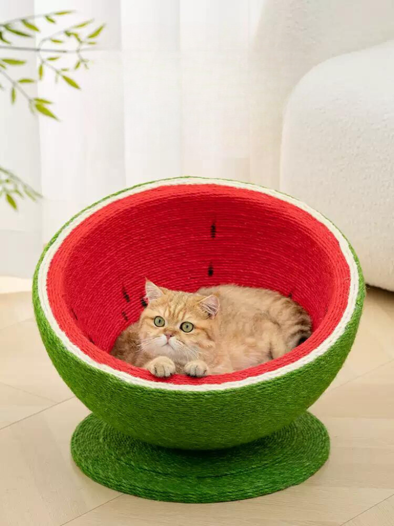 Fizzli | Cat Scratcher and Nap Space