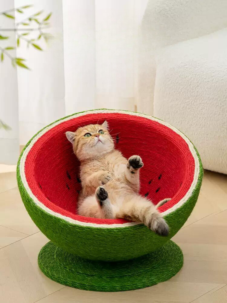 Fizzli | Cat Scratcher and Nap Space