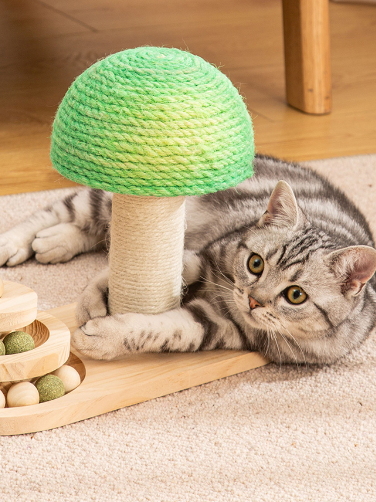 ForestPaw | Cat Scraper