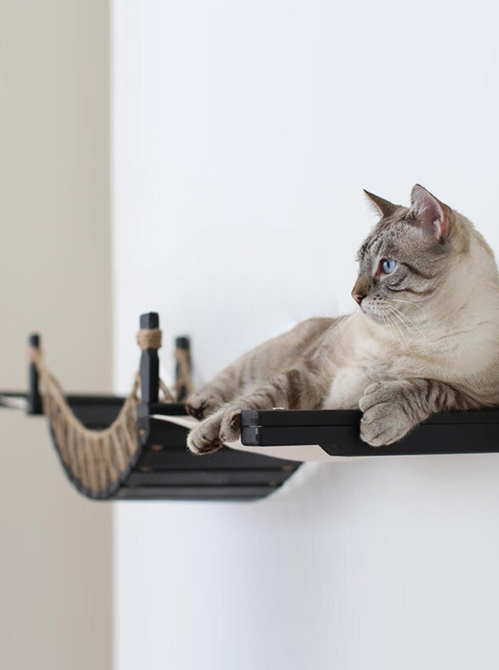 Wall Bridge Cat Step – Suspension Bridge Playground for Cats