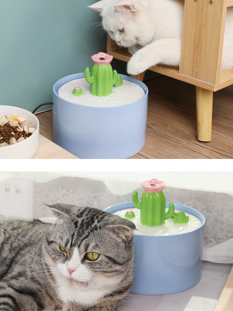 CactoFlow | Cactus Water Dispenser