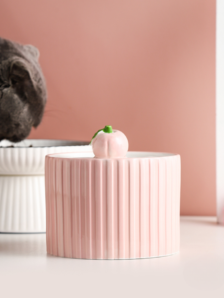 PeachyPaws | Peach Water Dispenser