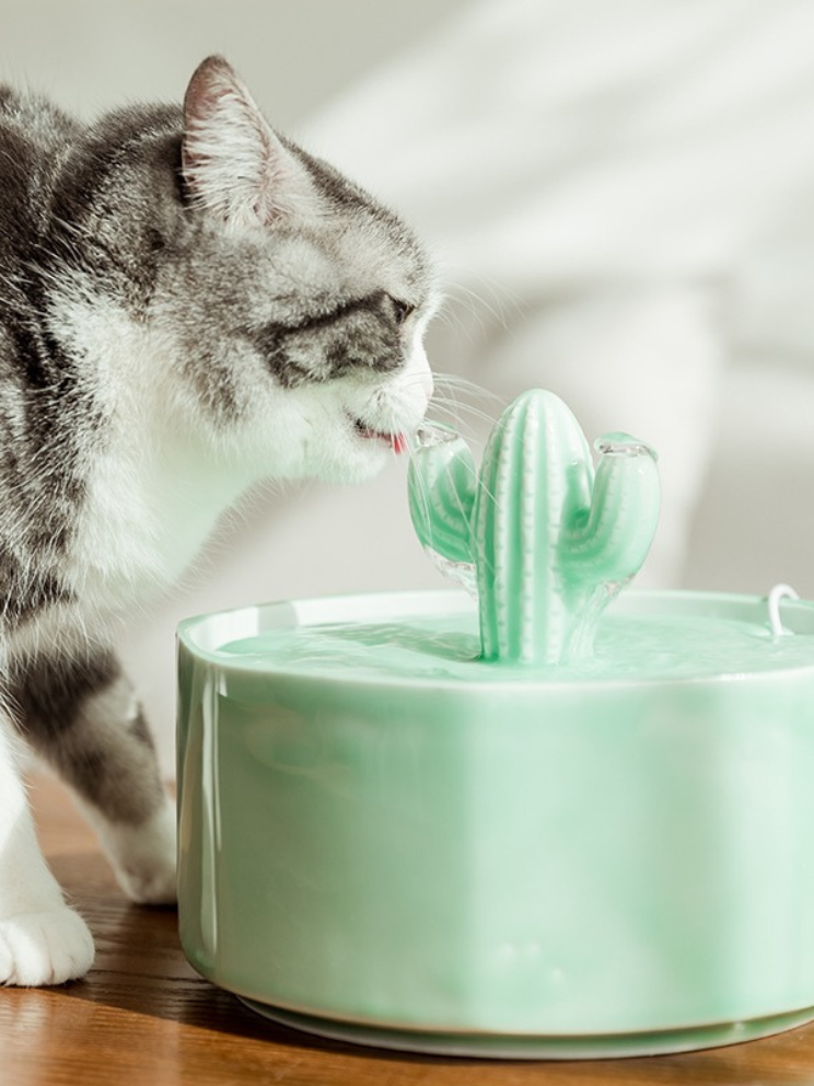 AriZona | Super Water Dispenser