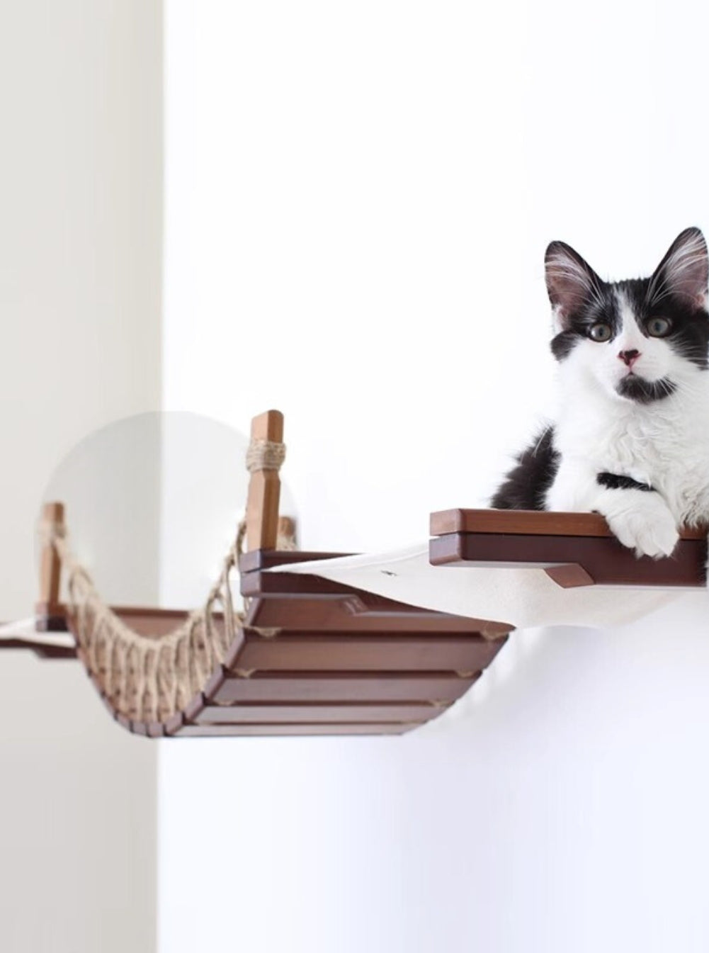 Wall Bridge Cat Step – Suspension Bridge Playground for Cats