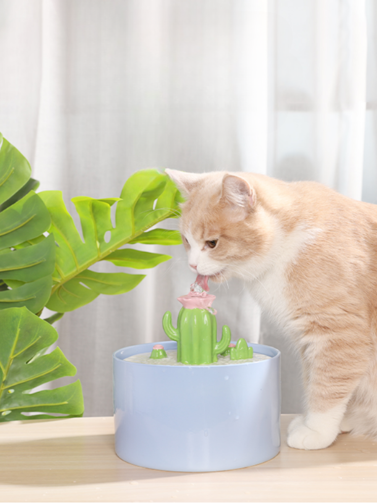 CactoFlow | Cactus Water Dispenser