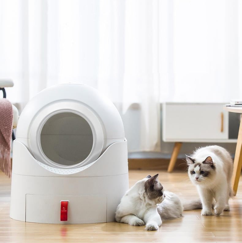 Poowoo | CatToilet