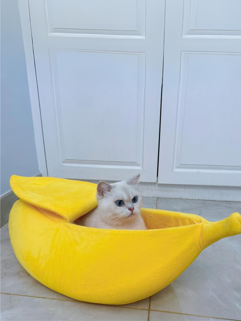 Banana Cat Bed – Cozy