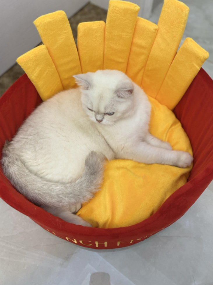 CozyBites | Cat Bed