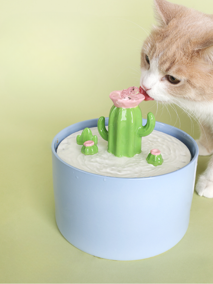 CactoFlow | Cactus Water Dispenser