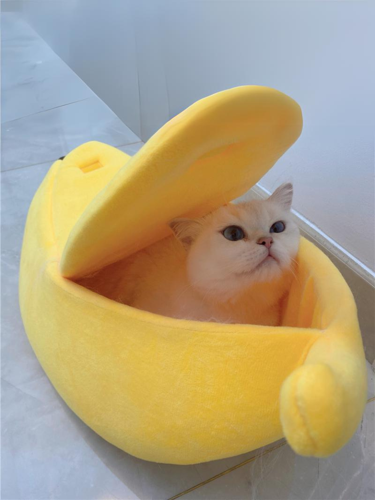 Banana Cat Bed – Cozy