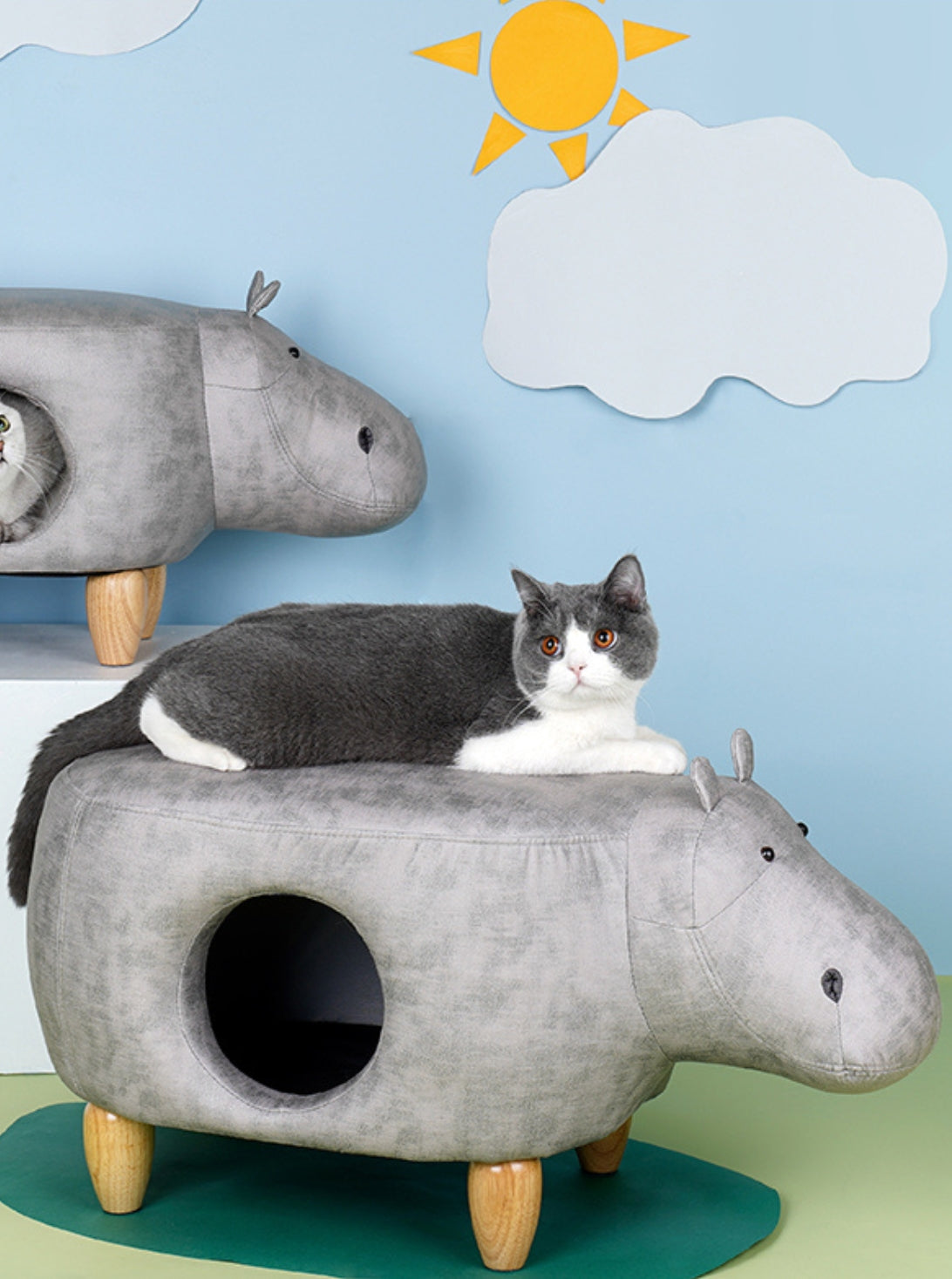 Animal type cat house
