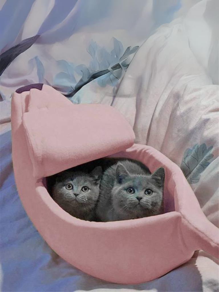 Banana Cat Bed – Cozy