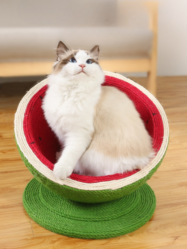 Fizzli | Cat Scratcher and Nap Space